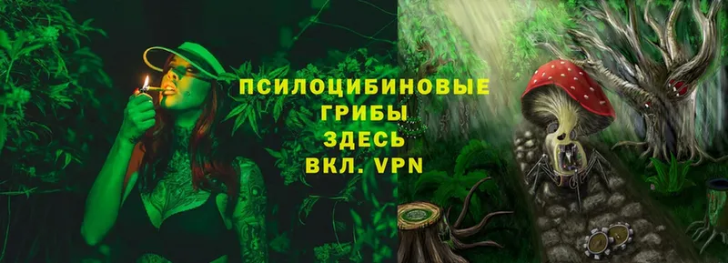 Псилоцибиновые грибы ЛСД  сколько стоит  Балабаново 